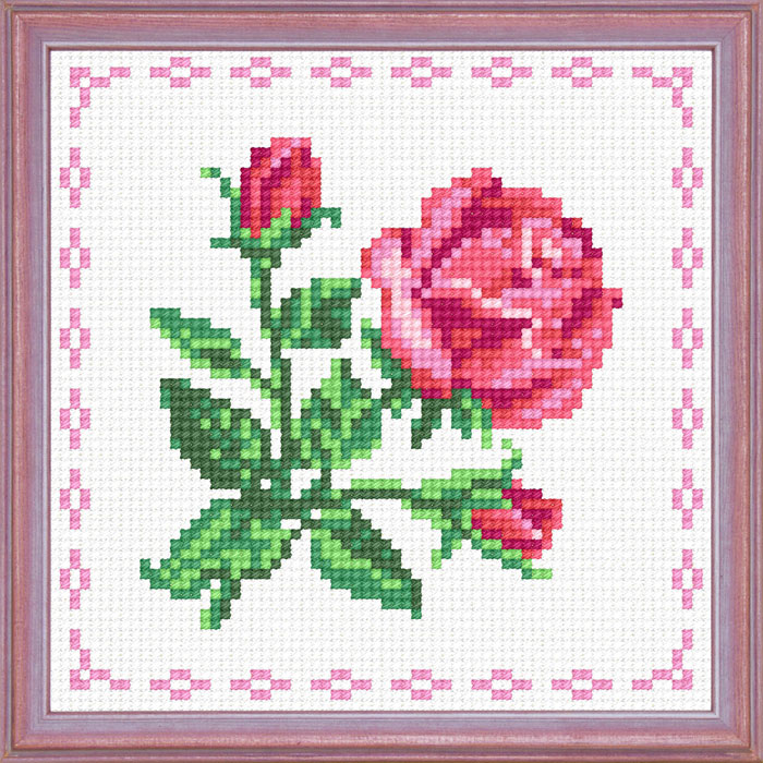 A36 — Червона троянда в окантовці
