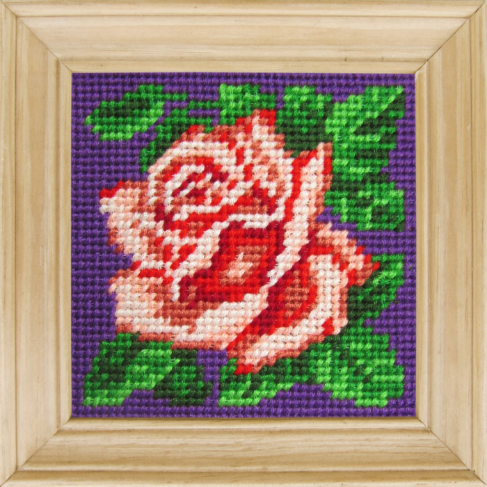 B05 — Троянда
