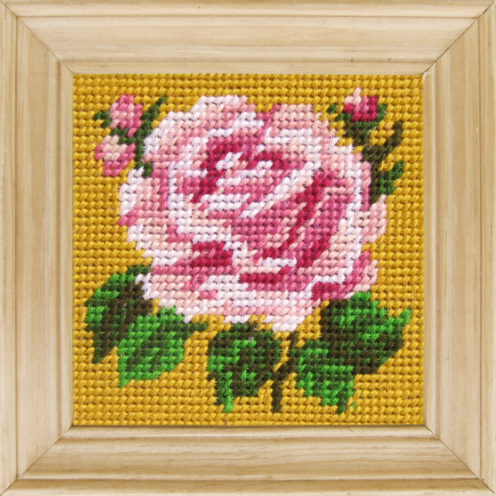 B31 — Троянда