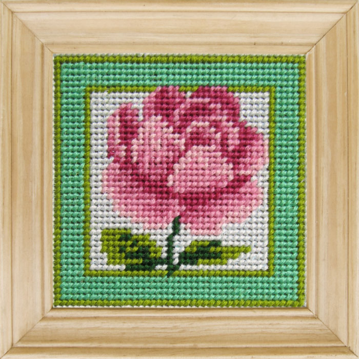 B38 — Троянда