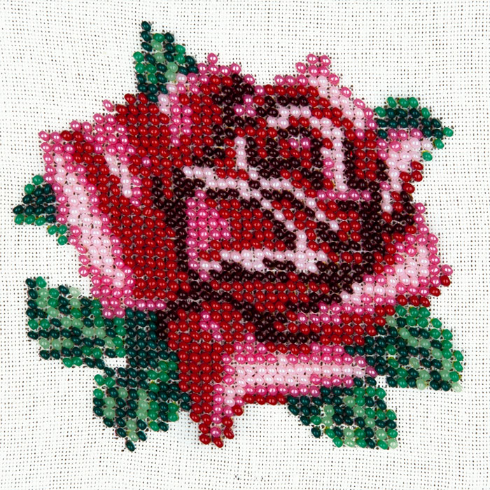 L426 — Тендітна троянда